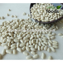 wholesale dry white kidney beans